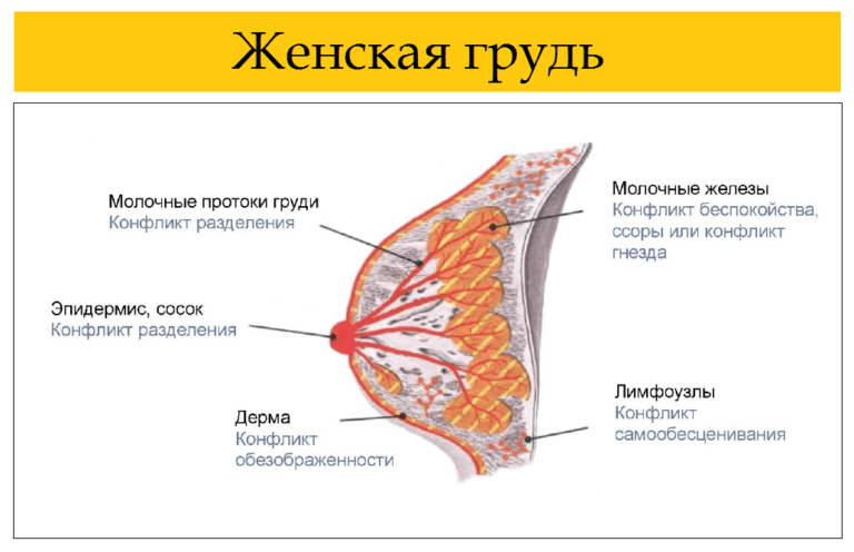 Уплотнения в груди