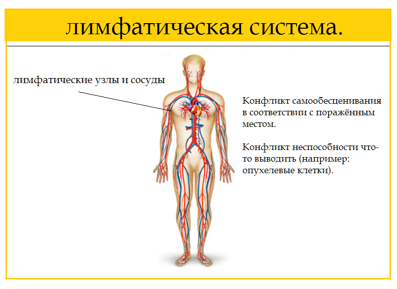 Застой лимфы