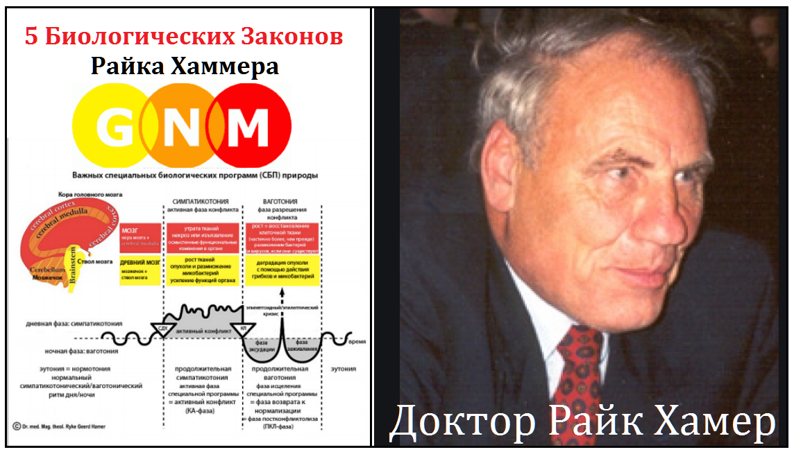 Доктор Хаммер 5 биологических законов. Новая Германская медицина. Германская новая медицина доктора Хамера. Справочник Германская новая медицина.