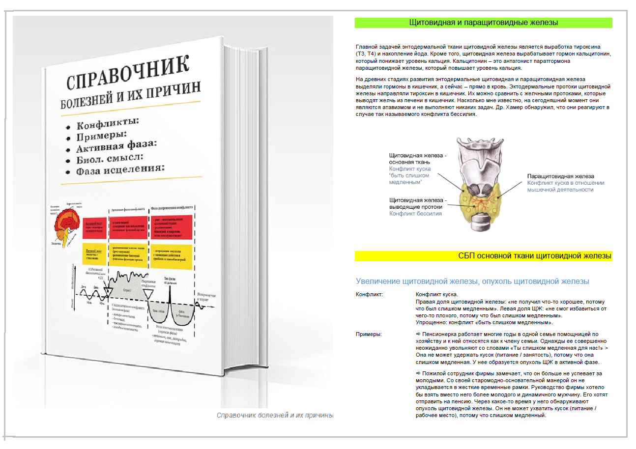 Научная карта гнм