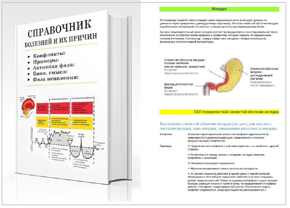 Райк гир хаммер научная карта германской новой медицины