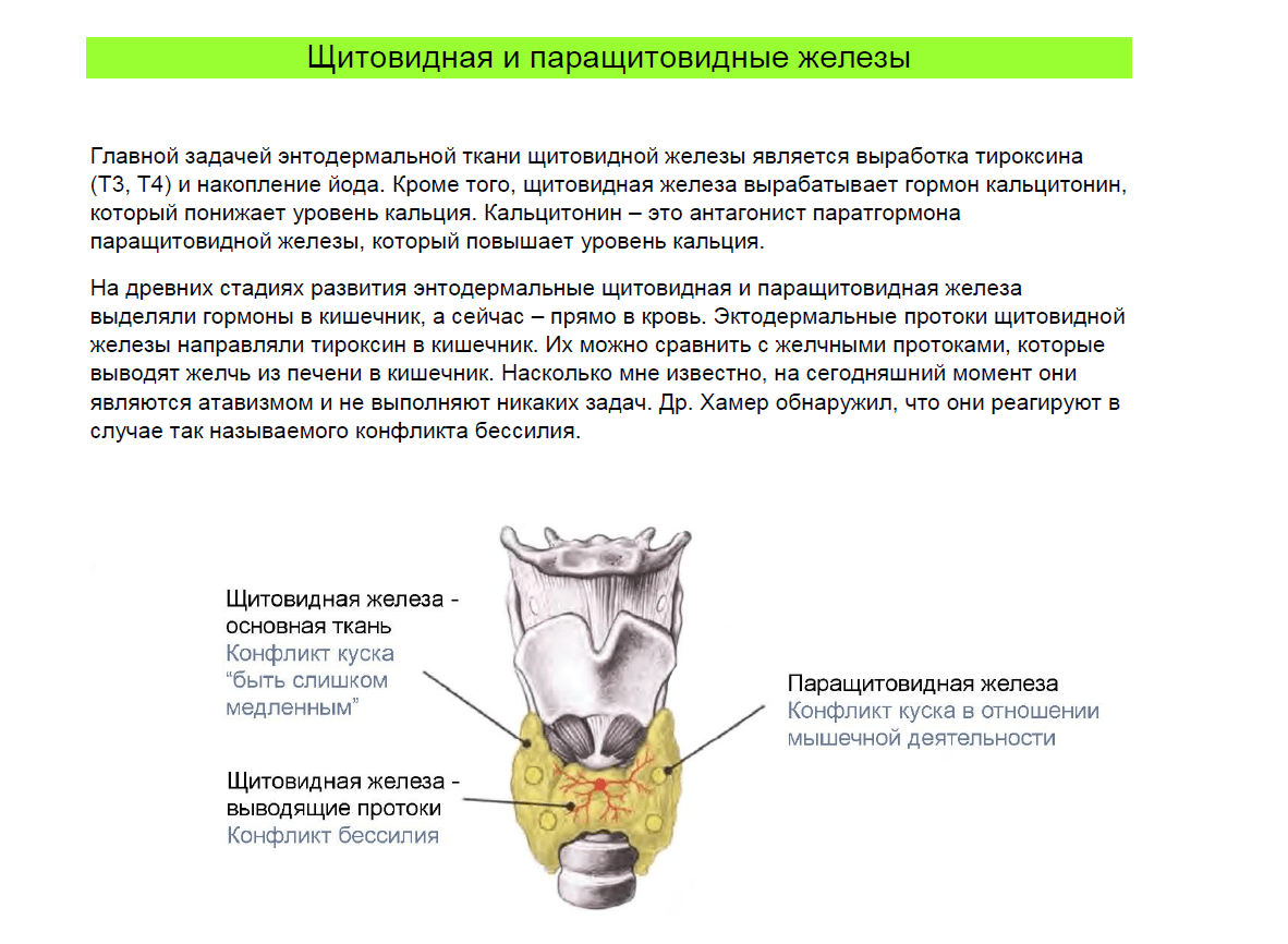 Научная карта гнм