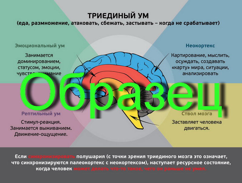 Райк гир хаммер научная карта германской новой медицины